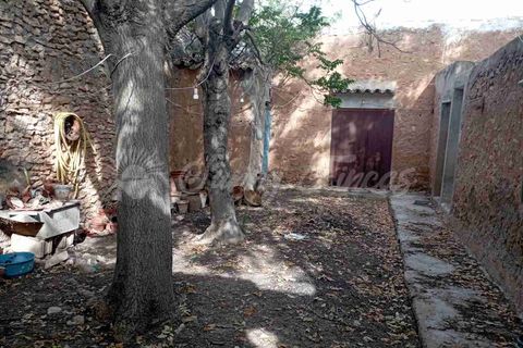 Finca i Yecla, Murcia, Yecla - € 350.000 | Ref: SF0507 - foto 23